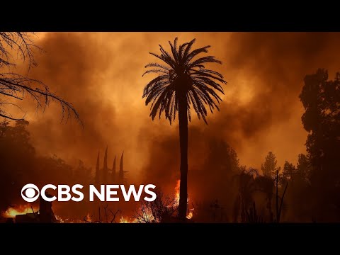 Wildfires continue to decimate Los Angeles area | full coverage