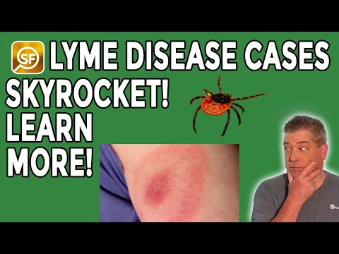 Lyme Disease Cases Skyrocket 357% In Rural America; Up In Urban Areas