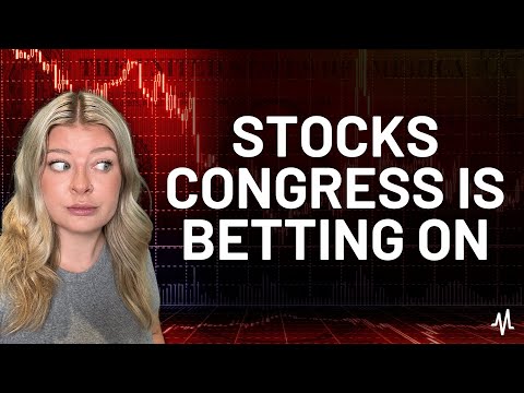 Profit Like Congress: The Stocks They&#039;re Betting On