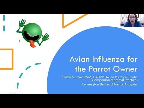 TPC Apr 2022 Zoom Meeting - Dr. Kristin Sinclair - Avian Influenza for the Parrot Owner