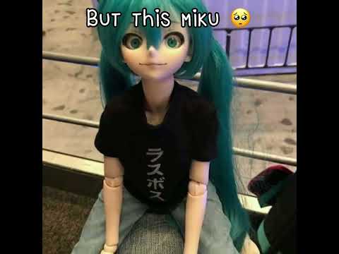 Real Miku…But the doll Miku