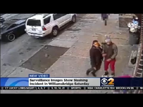 Suspects South In Bronx Attack